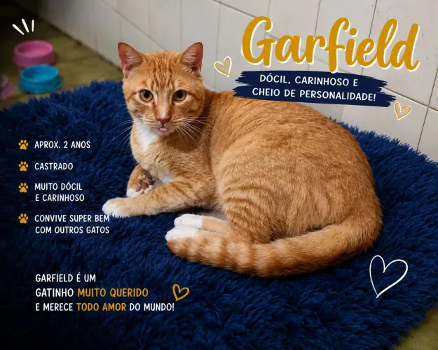 Um lar para Garfield 