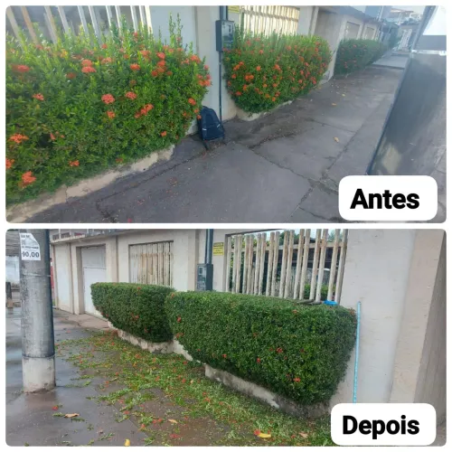 Jardineiro paisagista