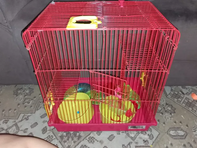 Gaiola para hamster