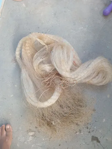 Tarafa usada está boa pra quem quer pesca interessado so chama no zap *