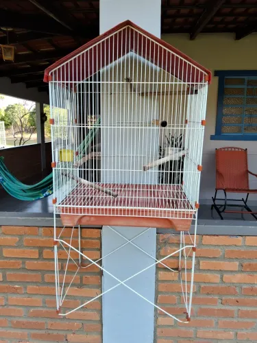Gaiola grande para pássaros, com suporte elevado e excelente espaço interno.