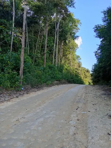 Vendo Terreno na BR-174 km 41. Ramal ZF1