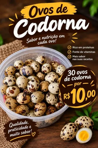 Ovos de codorna