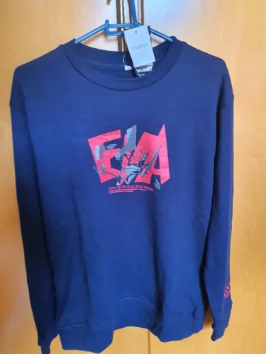 Moletom Neon Genesis Evangelion NOVO(Importado)