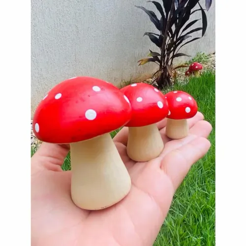 Trio de cogumelos 