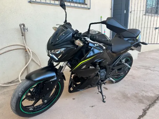 Kawasaki Z 300 2019