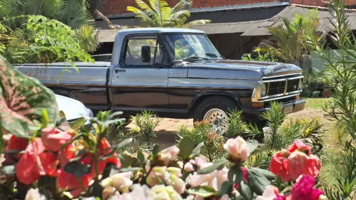 Ford F-1000 S. S. Diesel / S.s. Diesel Turbo 1985