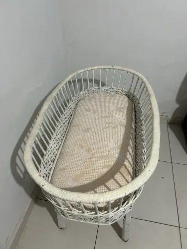 Vendo Moisés