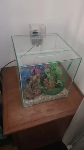 Aquário de Vidro Cubo com Bomba/Filtro, Plantas e Pedras