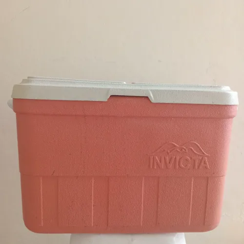 Caixa térmica INVICTA 45 L