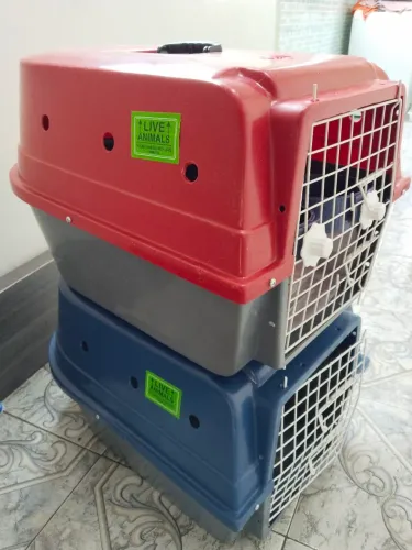 Caixa de transporte PET