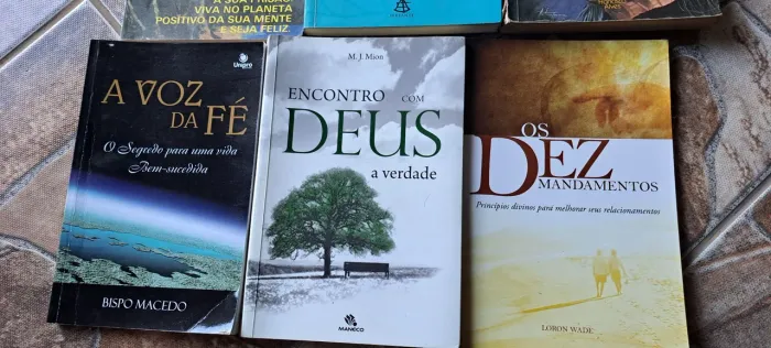 LIVROS - LOTE DE LIVROS DIVERSOS