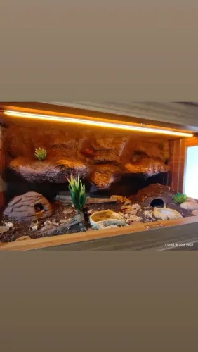 Terrario