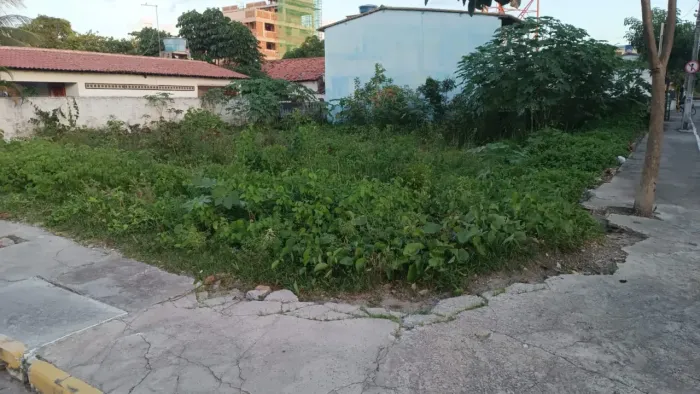 Lote escriturado - Porto de Galinhas - Maracaípe - Oportunidade!!