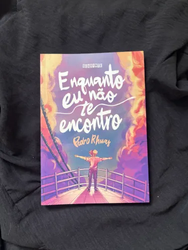LIVRO: ENQUANTO EU NÃO TE ENCONTRO