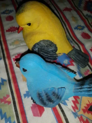 Dois pássaros