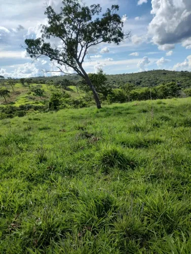 Fazenda 60 hectares em Santana de Pirapama MG