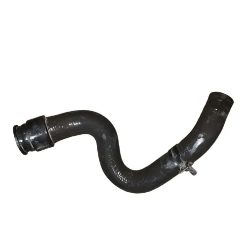 Borracha Radiador Peugeot 206
