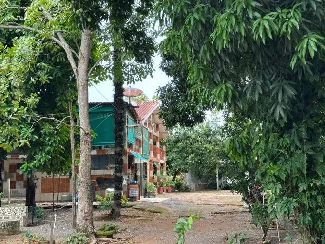 Terreno com 4.311,04 m² - Nova Esperança