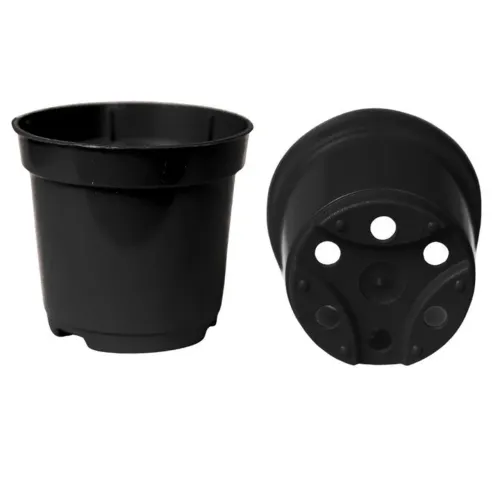 10 Portes n 06muda de suculentas preto