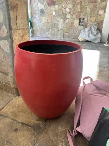 Vaso de planta grande