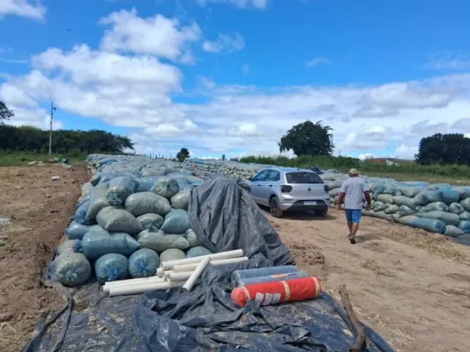 Silagem alta qualidade - Milho 7720 - Bonito de Santa Fé - PB - 130mil kg
