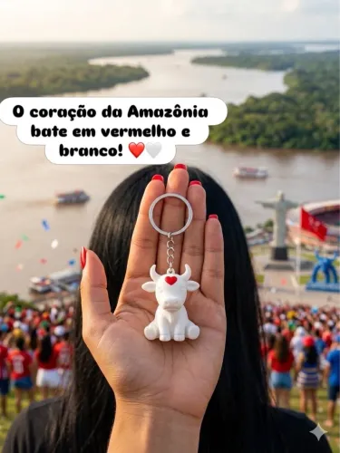 Chaveiro boi Garantido & Caprichoso Festival Parintins