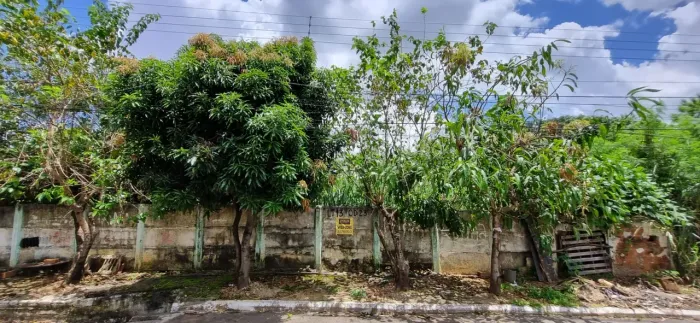 Terreno à venda, 600 m² por R$ 250.000,00 - Vila Monticelli - Goiânia/GO
