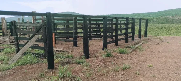 FAZENDA VIUVA