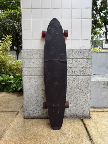 Skate Longboard Flexdex