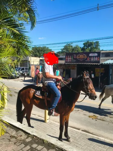 Égua macha picada