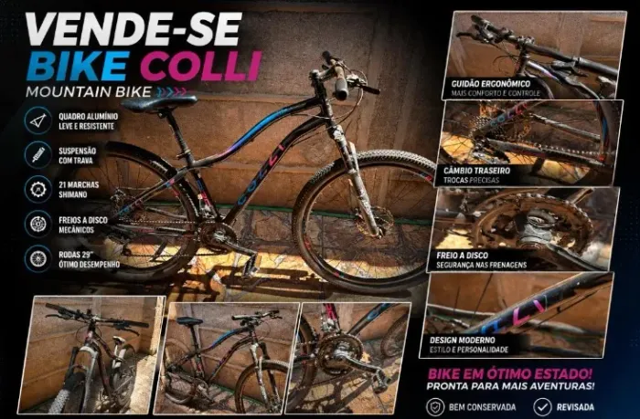 Bicicleta COLLI PARIS/ Aro 29/ 36 raio/ freio a disco 
