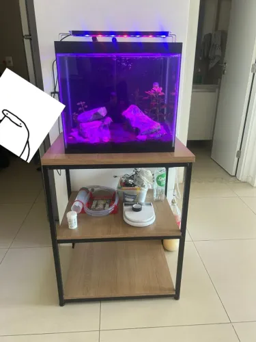 Aquário completo 60L