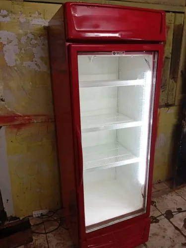 Freezer expositor 