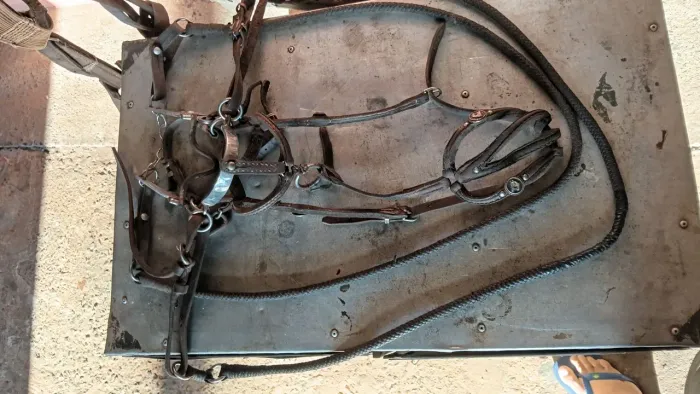 Kit sela e rédea  para cavalos 