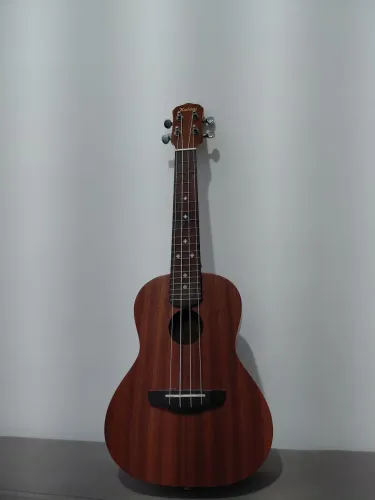 Ukulele