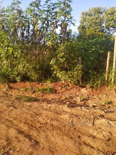 vendo lote no Residencial Major - Colônia Agrícola 26 de Setembro 