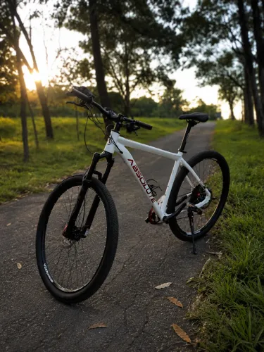 Bike Absolute Aro 29 toda Shimano Deore 12v