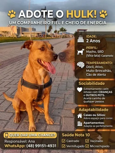 Adote um amigo!