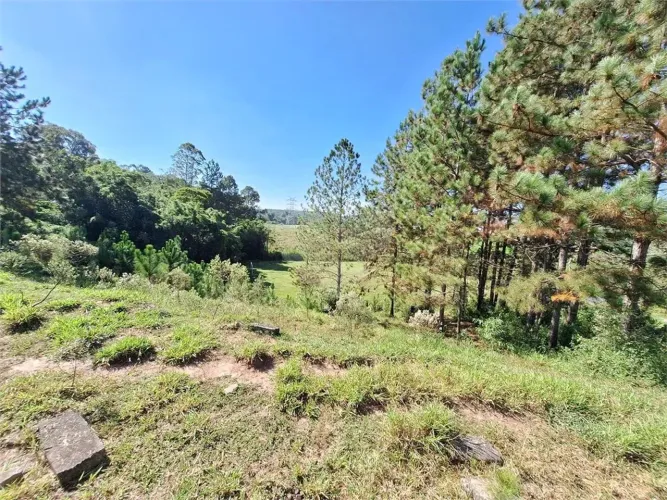 Loteamento à venda em Vila são josé - SP