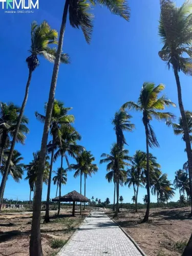 VILLAREDO ARUANA [1684]