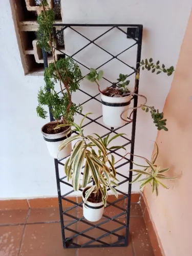 Jardim vertical com plantas - ideal para fixar na parede