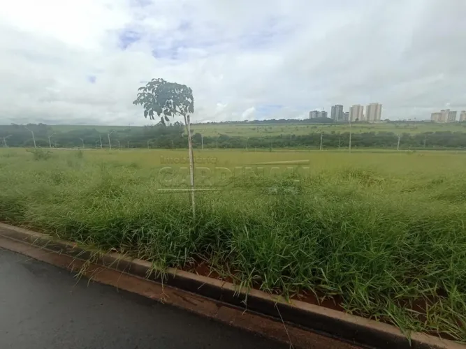 Terreno Padrão em São Carlos