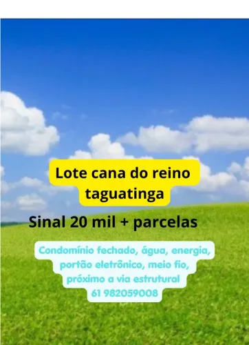 Lote cana do reino Taguatinga 