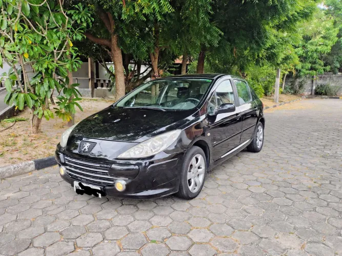 Peugeot 307 Soleil/ Presence 1.6/1.6 Flex 16V 5P 2009