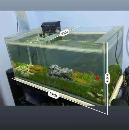 Aquário peixe 90 L 