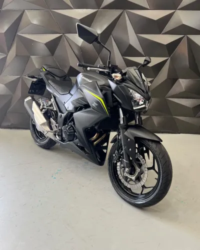Z 300
