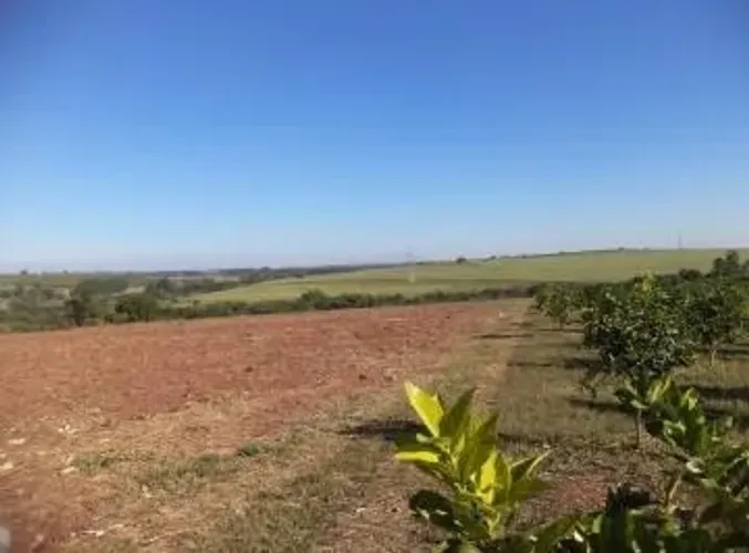 Sitio 20.000 metros quadrados em Conchal - SP