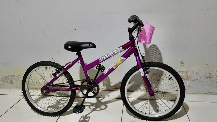 Bicicleta poty aro 20
