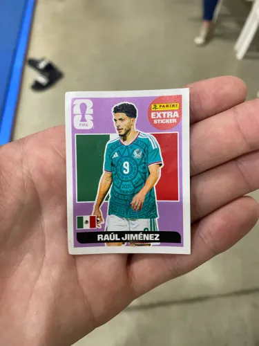 BORDÔ RAUL JIMENEZ (Perfeito Estado)